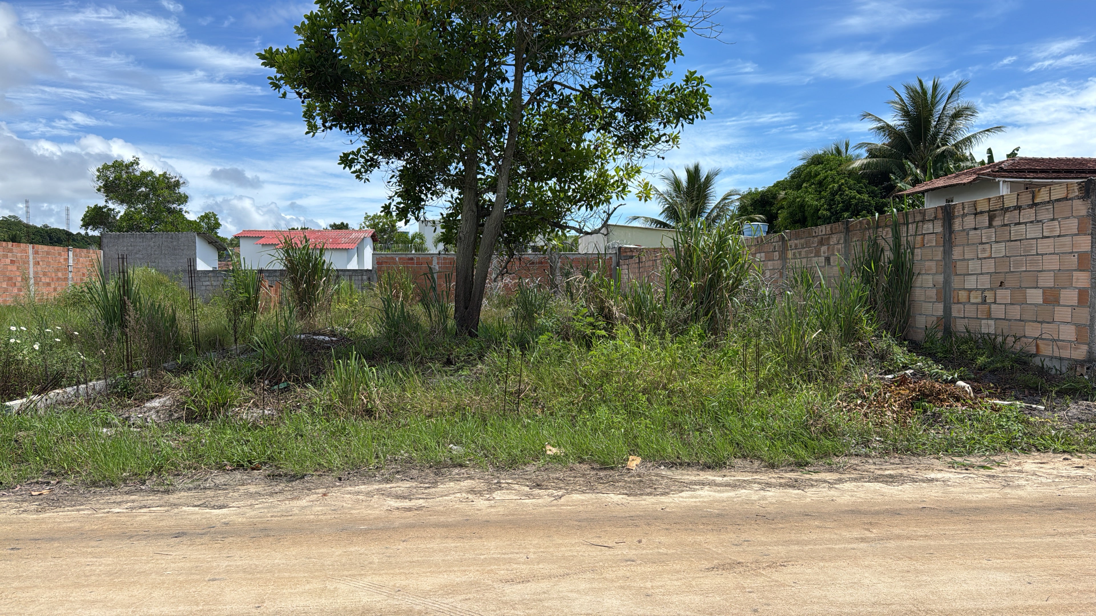 Lote Coroa Vermelha