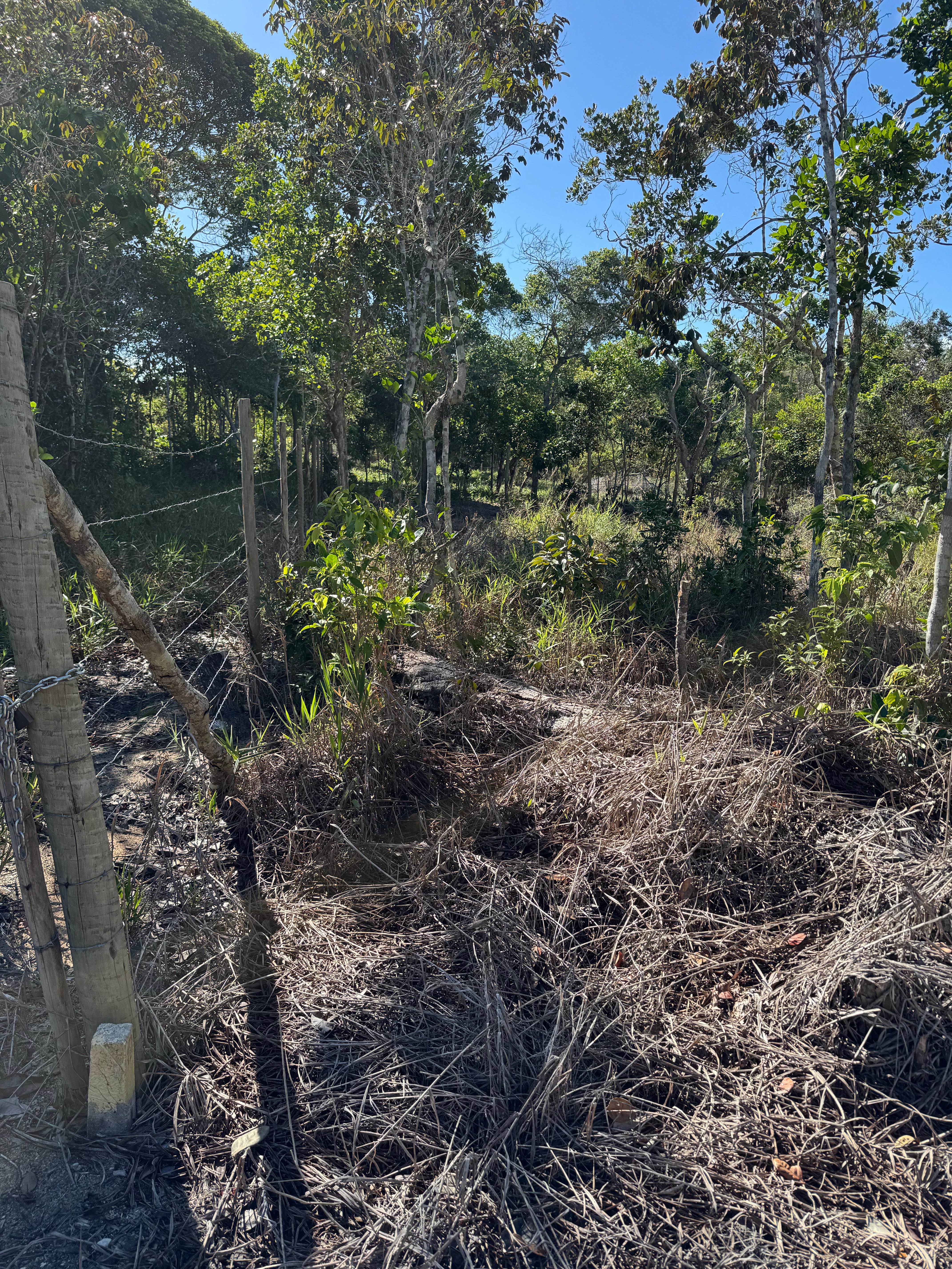 Lote Pedra Azul
