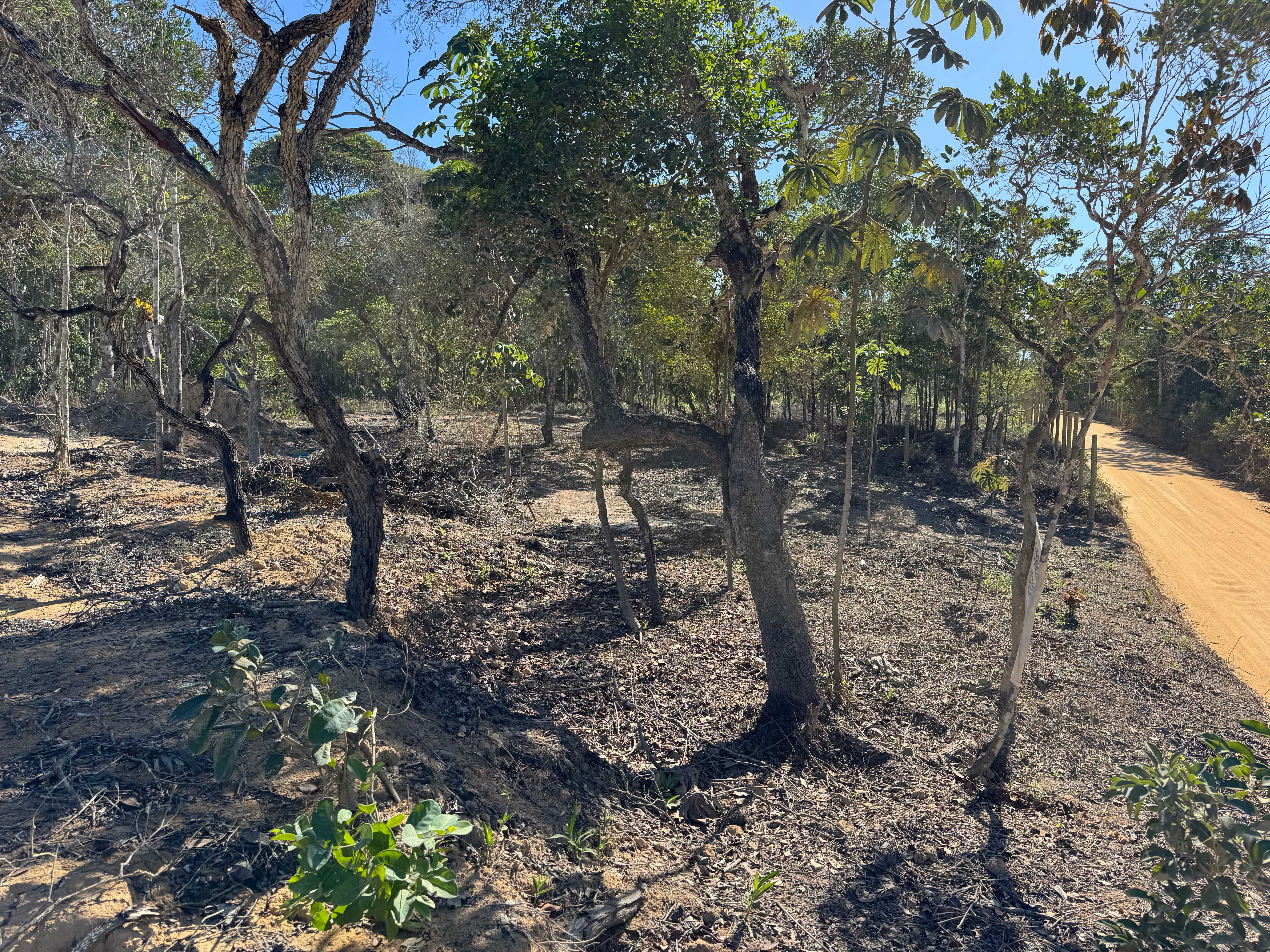 Lote Pedra Azul